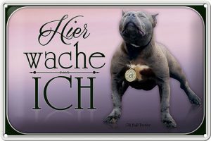 Schild Blech 30x20cm - Made in Germany - Hund Pit Bull Terrier hier wache ich Metall Deko Blechschild