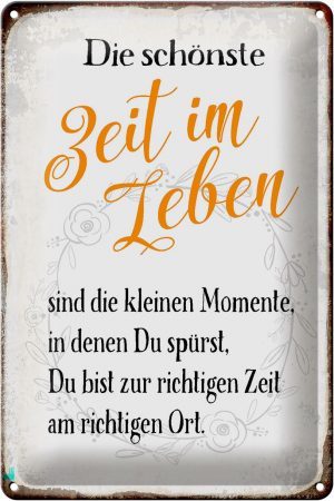 Schild Blech 20x30cm - Made in Germany - Spruch die schönste Zeit im Leben sind Metall Deko Blechschild