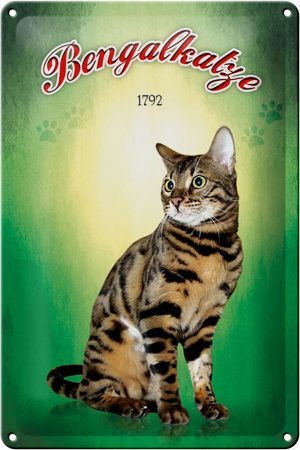 Schild Blech 20x30cm - Made in Germany - Katze Bengalkatze 1792 Metall Deko Blechschild