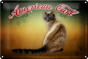 Schild Blech 30x20cm - Made in Germany - Katze American Curl Metall Deko Blechschild