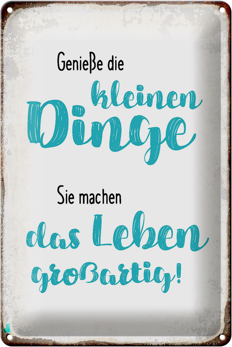 Schild Blech 20x30cm - Made in Germany - Spruch genieße kleine Dinge sie machen Metall Deko Blechschild