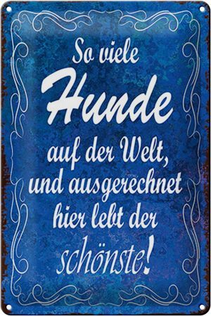 Schild Blech 20x30cm - Made in Germany - Spruch so vielen Hunde auf der Welt Metall Deko Blechschild