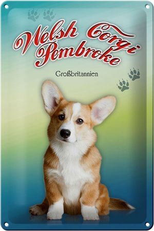 Schild Blech 20x30cm - Made in Germany - Hund Welsh Corgi Pembroke Metall Deko Blechschild
