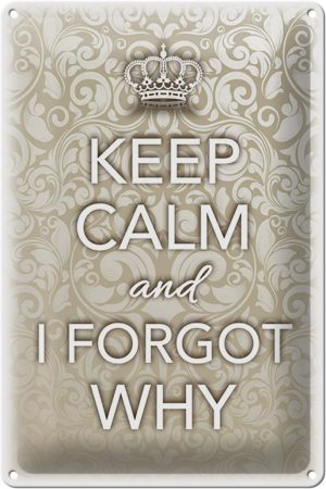 Schild Blech 20x30cm - Made in Germany - Spruch Keep Calm and i forgot why Metall Deko Blechschild