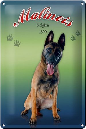 Schild Blech 20x30cm - Made in Germany - Hund Malinois Belgien 1899 Metall Deko Blechschild