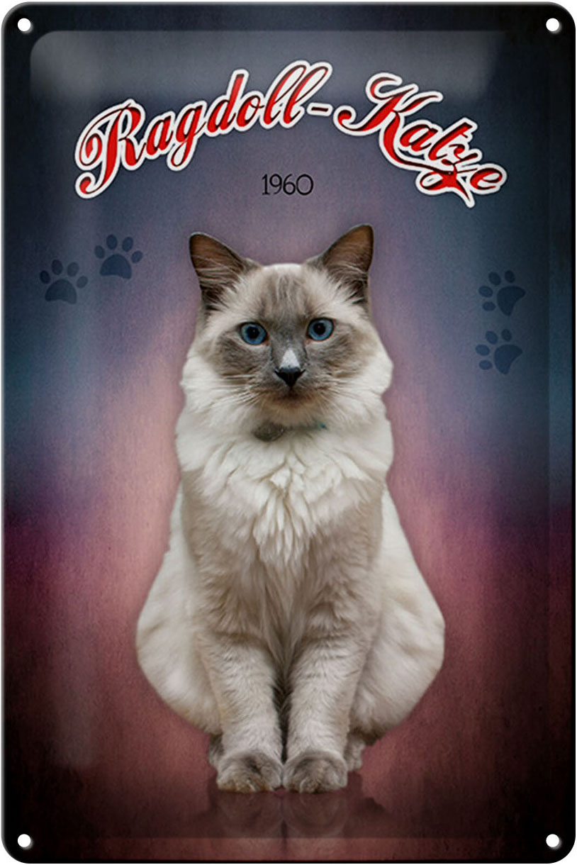 Schild Blech 20x30cm - Made in Germany - Katze Ragdoll Katze 1960 Metall Deko Blechschild