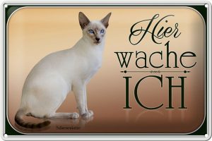 Schild Blech 30x20cm - Made in Germany - Katze Balinesenkatze hier wache ich Metall Deko Blechschild