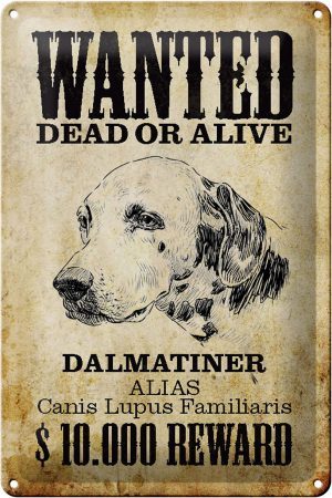 Schild Blech 20x30cm - Made in Germany - Hund wanted dead Dalmatiner