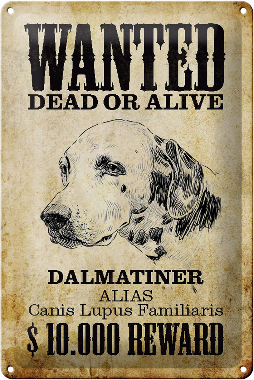 Schild Blech 20x30cm - Made in Germany - Hund wanted dead Dalmatiner