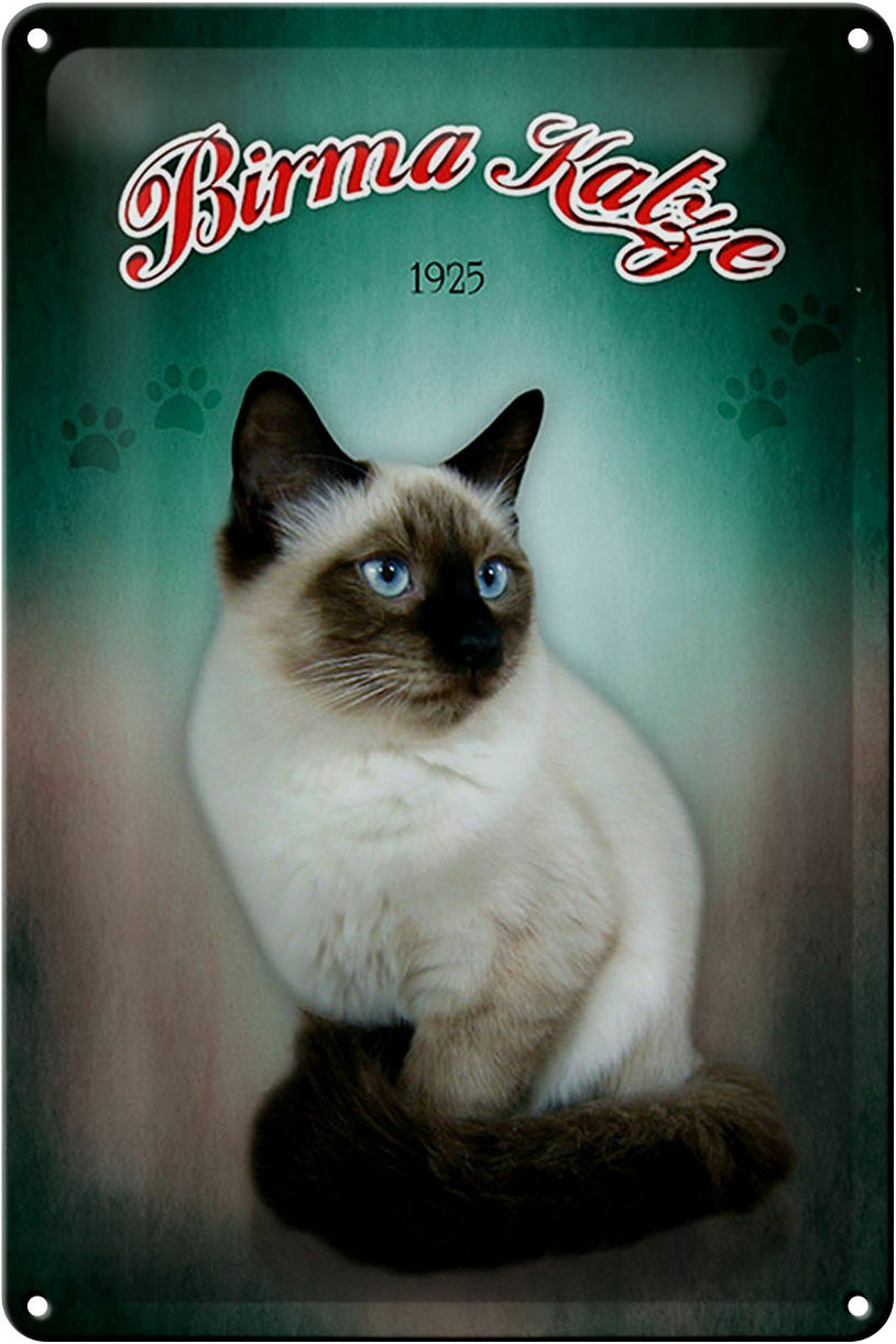 Schild Blech 20x30cm - Made in Germany - Katze Birma Katze 1925 Metall Deko Blechschild