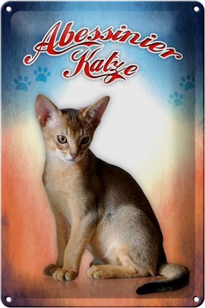 Schild Blech 20x30cm - Made in Germany - Katze Abessinier Katze Metall Deko Blechschild