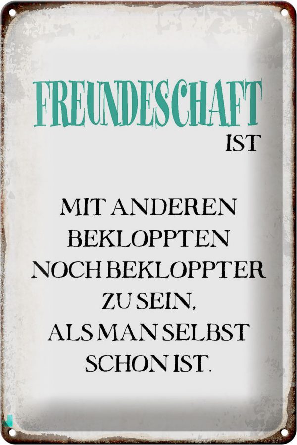 Schild Blech 20x30cm - Made in Germany - Spruch Freundeschaft ist mit anderen Metall Deko Blechschild