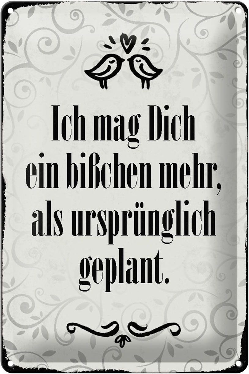 Schild Blech 20x30cm - Made in Germany - Spruch ich mag dich ein bißchen mehr Metall Deko Blechschild