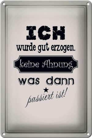 Schild Blech 20x30cm - Made in Germany - Spruch ich gut erzogen dann passiert Metall Deko Blechschild
