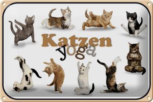 Schild Blech 30x20cm - Made in Germany - Katze Katzen Yoga Metall Deko Blechschild
