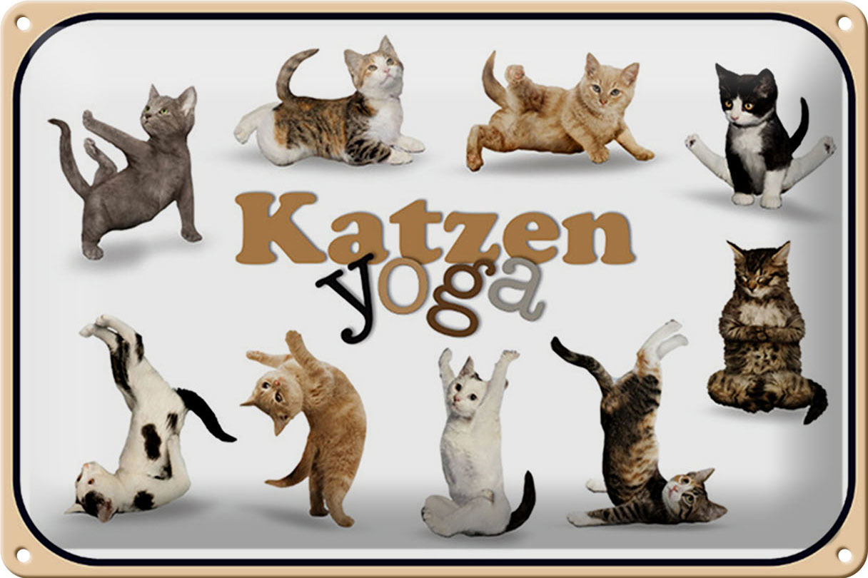 Schild Blech 30x20cm - Made in Germany - Katze Katzen Yoga Metall Deko Blechschild