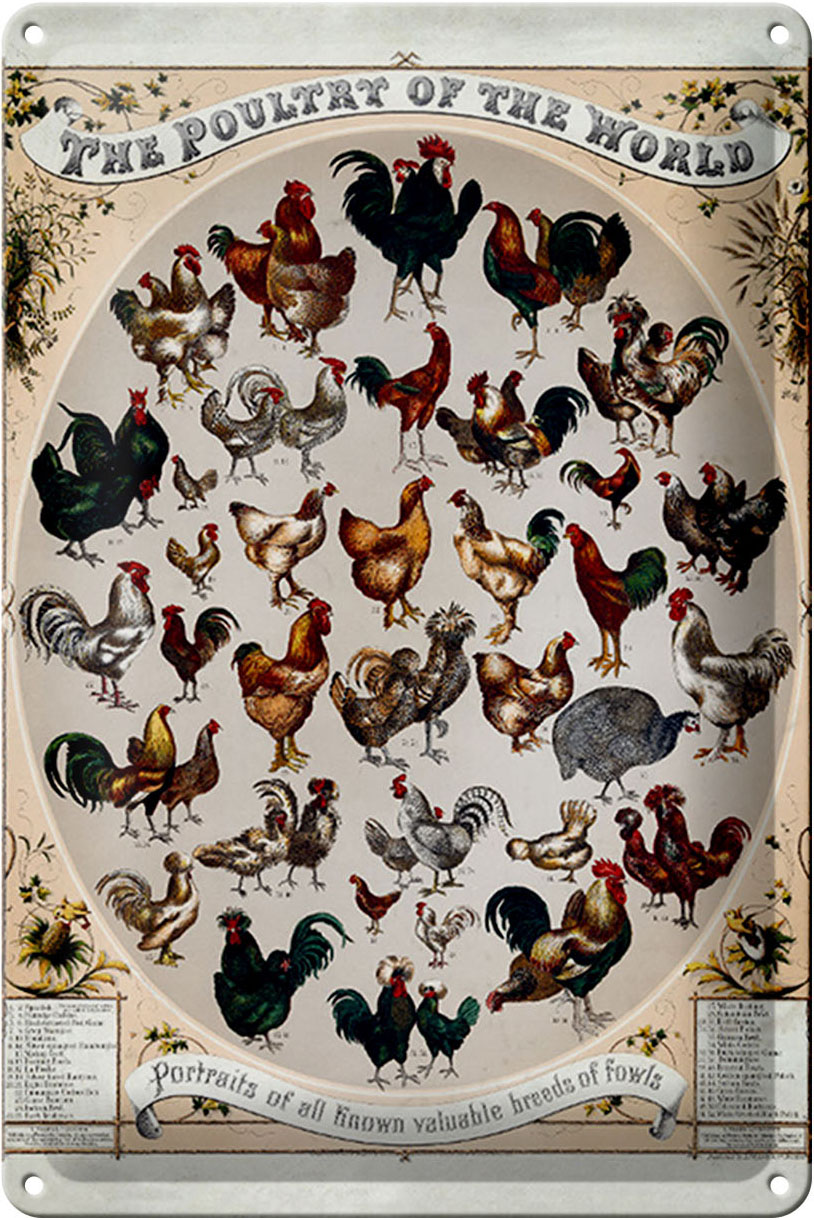 Schild Blech 20x30cm - Made in Germany - Geflügelart the poultry of the worls Metall Deko Blechschild