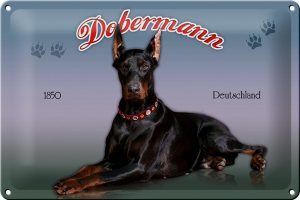 Schild Blech 30x20cm - Made in Germany - Hund Dobermann 1850 Deutschland Metall Deko Blechschild