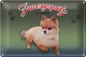 Schild Blech 30x20cm - Made in Germany - Hund Zwergspitz Deutschland Metall Deko Blechschild