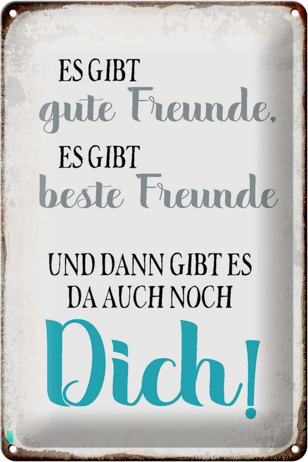 Schild Blech 20x30cm - Made in Germany - Spruch gibt gute Freunde auch noch Dich Metall Deko Blechschild