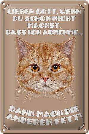 Schild Blech 20x30cm - Made in Germany - Katze lieber Gott wenn du schon nicht Metall Deko Blechschild