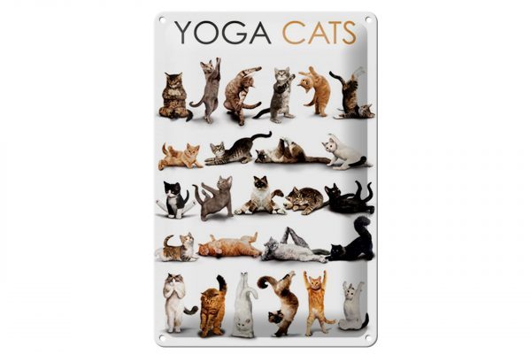 Schild Blech 20x30cm - Made in Germany - Tiere Yoga Cats Katzen